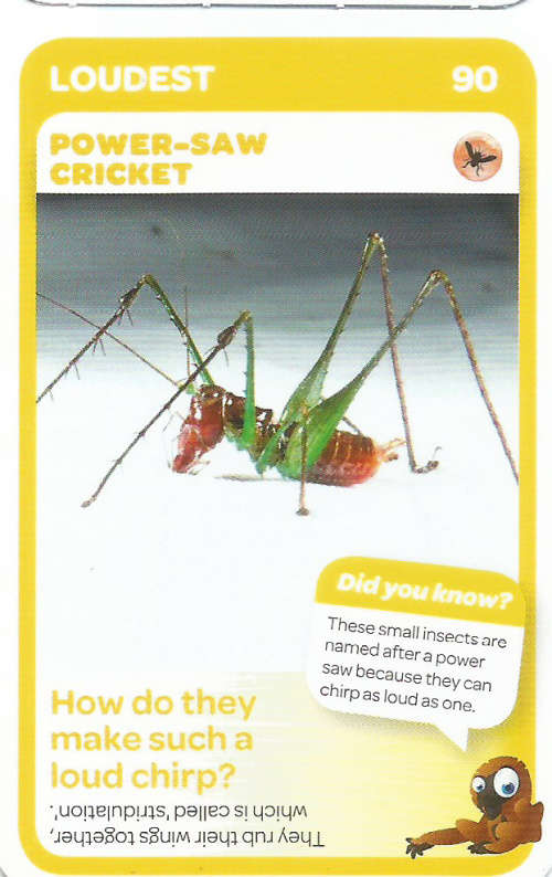 "SUPER ANIMALS" - PICK&PAY TRADING CARD COLLECTION - CARD 90