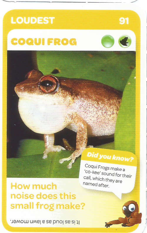 "SUPER ANIMALS" - PICK&PAY TRADING CARD COLLECTION - CARD 91