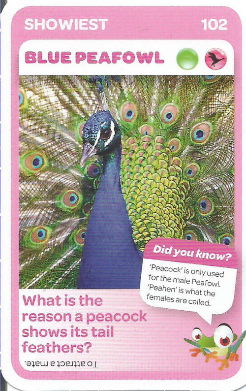 "SUPER ANIMALS" - PICK&PAY TRADING CARD COLLECTION - CARD 102