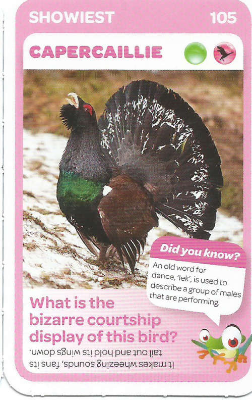 "SUPER ANIMALS" - PICK&PAY TRADING CARD COLLECTION - CARD 105