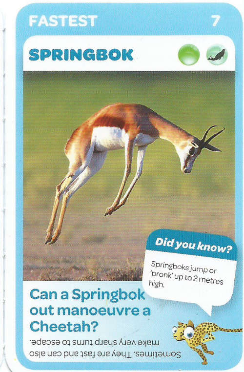 "SUPER ANIMALS" - PICK&PAY TRADING CARD COLLECTION - CARD  7