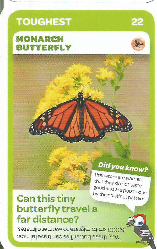 "SUPER ANIMALS" - PICK&PAY TRADING CARD COLLECTION -  CARD 22