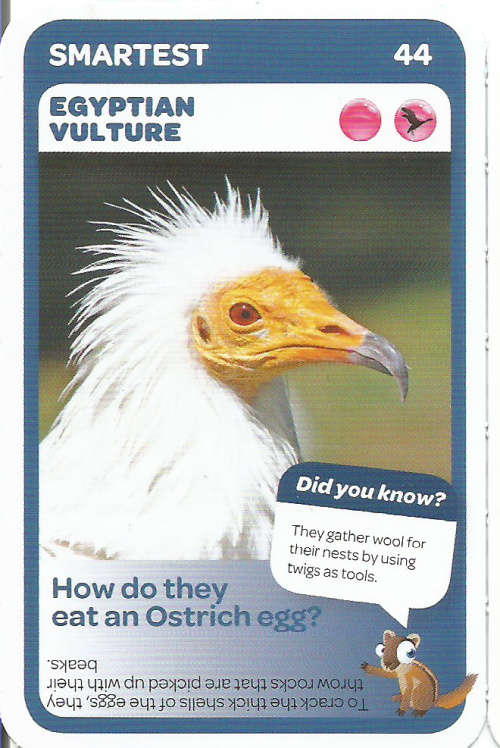 "SUPER ANIMALS" - PICK&PAY TRADING CARD COLLECTION -  CARD 44