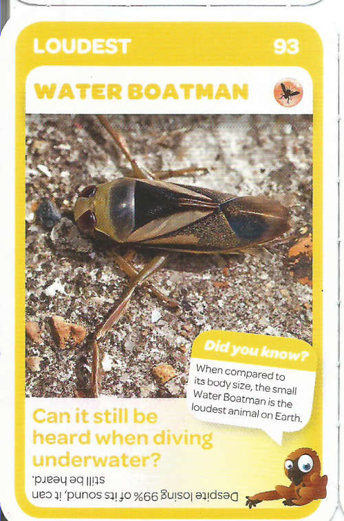 "SUPER ANIMALS" SERIES 1 - PICK&PAY TRADING CARD COLLECTION -  CARD 93