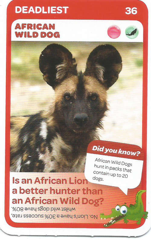 "SUPER ANIMALS" - PICK&PAY TRADING CARD COLLECTION -  CARD 36