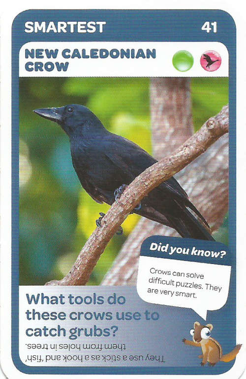 "SUPER ANIMALS" - PICK&PAY TRADING CARD COLLECTION -  CARD 41