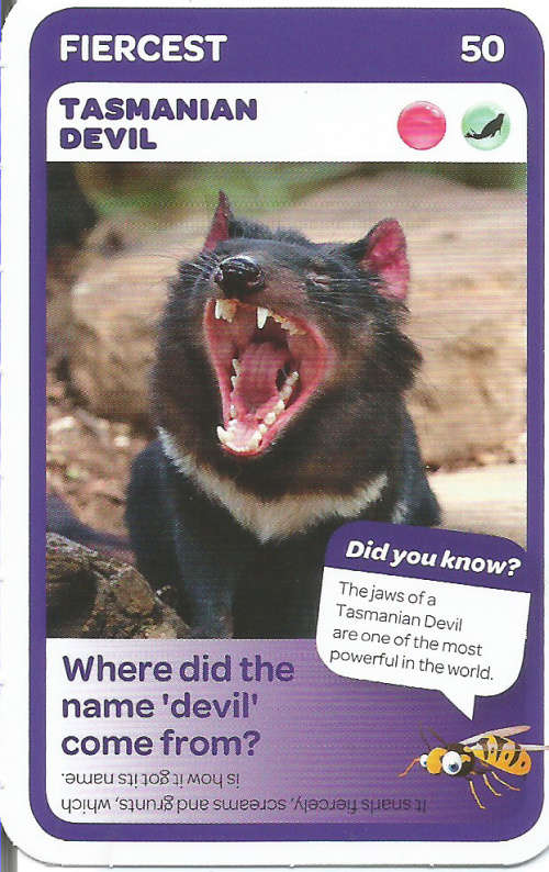 "SUPER ANIMALS" - PICK&PAY TRADING CARD COLLECTION -  CARD 50