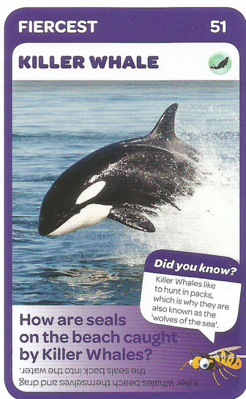 "SUPER ANIMALS" - PICK&PAY TRADING CARD COLLECTION -  CARD 51