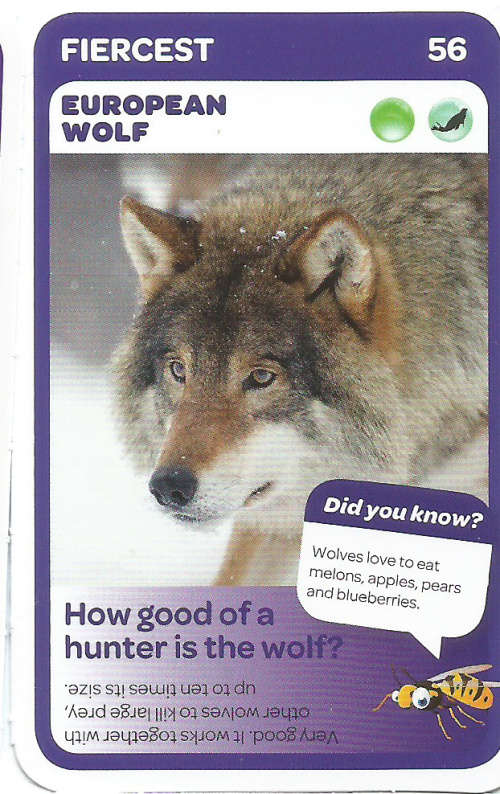 "SUPER ANIMALS" - PICK&PAY TRADING CARD COLLECTION -  CARD 56