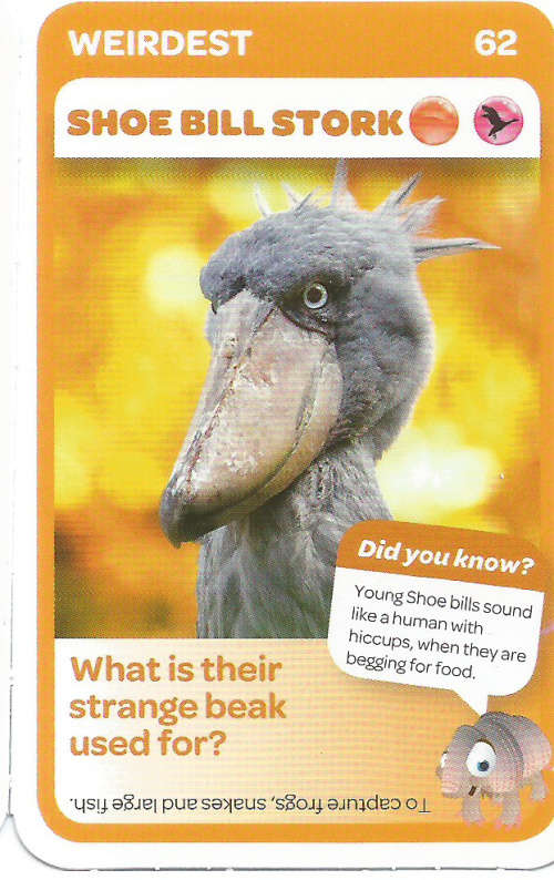 "SUPER ANIMALS" - PICK&PAY TRADING CARD COLLECTION -  CARD 62