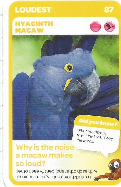 "SUPER ANIMALS" - PICK&PAY TRADING CARD COLLECTION -  CARD 87