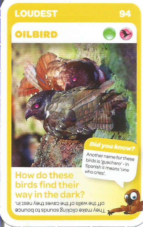 "SUPER ANIMALS" - PICK&PAY TRADING CARD COLLECTION -  CARD 94