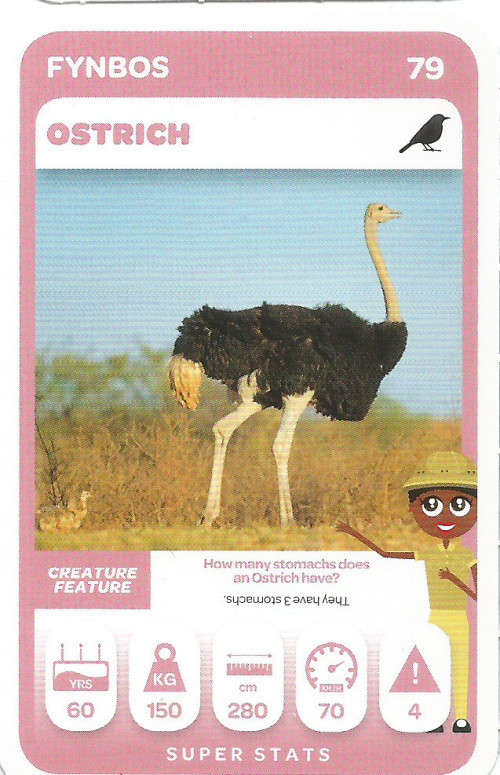 PICK n PAY "SOUTH AFRICAN SUPER ANIMALS" - TRADING CARD 79