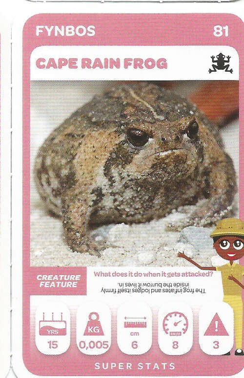 PICK n PAY "SOUTH AFRICAN SUPER ANIMALS" - TRADING CARD 81