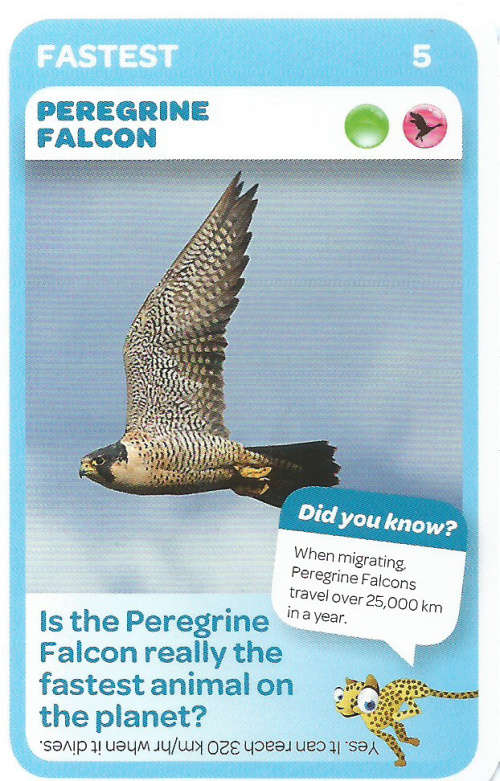 "SUPER ANIMALS" - PICK&PAY TRADING CARD COLLECTION -  CARD 5