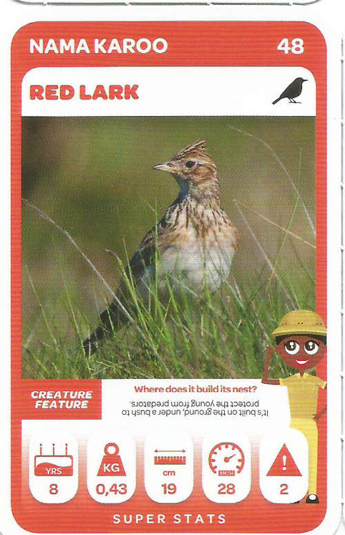 PICK n PAY "SOUTH AFRICAN SUPER ANIMALS" SERIES 2 - TRADING CARD 48