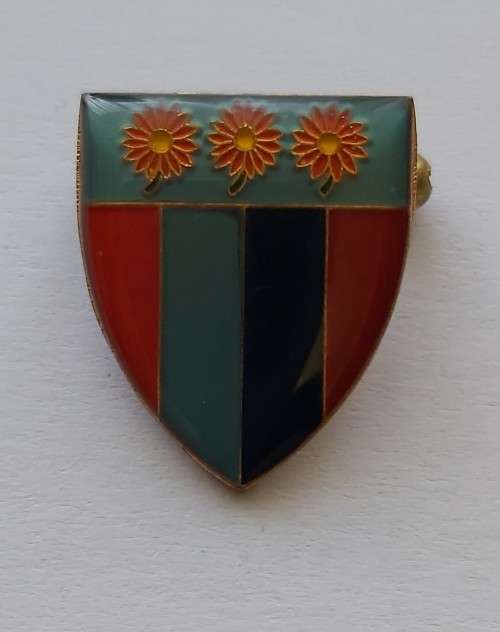 NORTHERN TRANSVAAL RUGBY LAPEL PIN BADGE