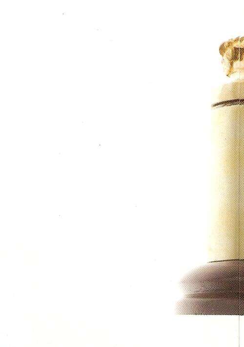 2011 RUGBY WORLD CUP COLLECTION - WEBB ELLIS CUP CARD 7