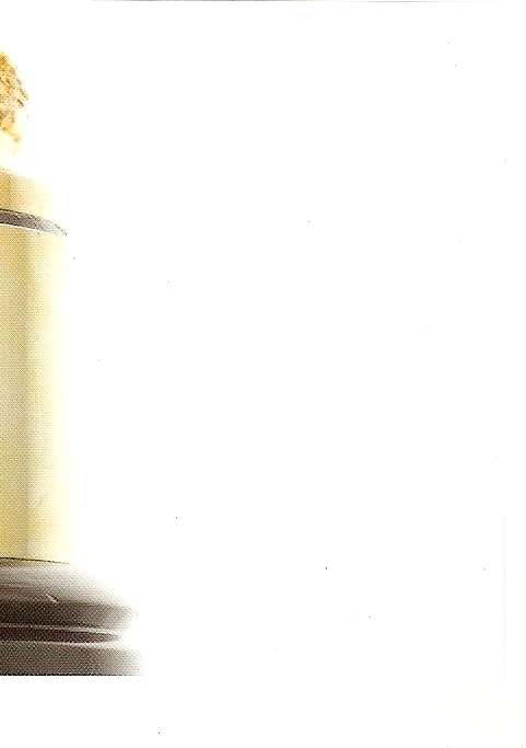 2011 RUGBY WORLD CUP COLLECTION - WEBB ELLIS CUP CARD 9