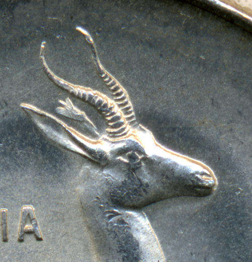 1966 1 Rand - Afrikaans - Tagged Ear Springbok