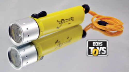 Professional Diving Flashlight CREE 3W LED Torch Waterproof Torch