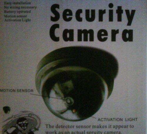 Realistic Dummy CCTV Dome Camera with flashing LED Light