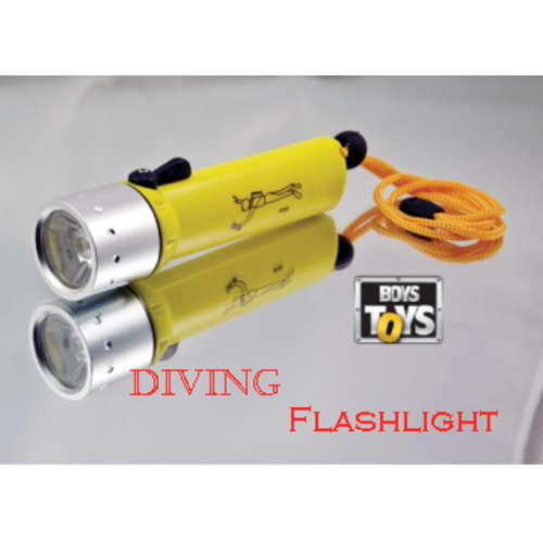 Professional Diving Flashlight CREE 3W LED Torch Waterproof Torch