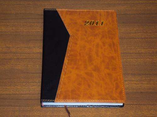 2011 Diary