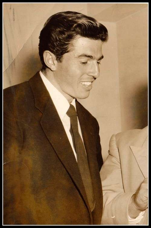 Springbok Wilf Rosenberg