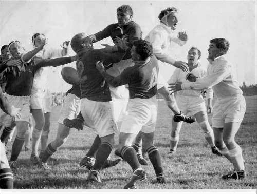 SPRINGBOKS VS SOUTHERN COUNTIES 1960