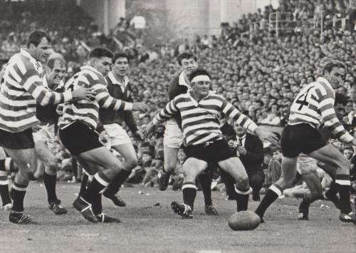 BRITISH LIONS VS WP 1968