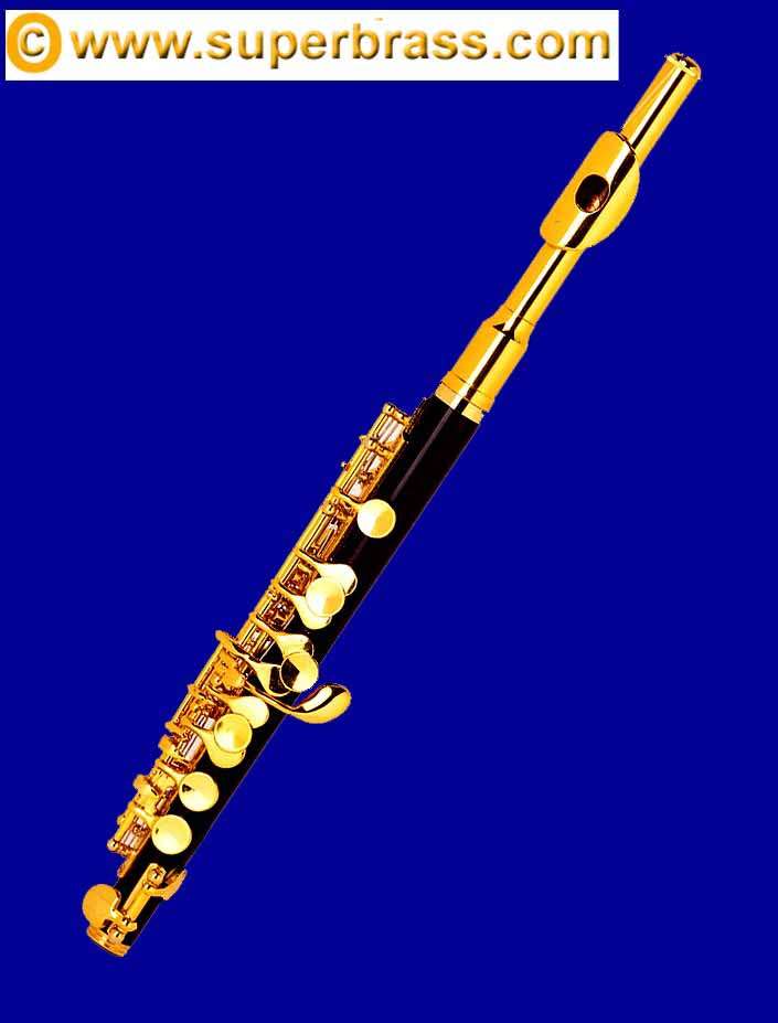 2009 BEAUTIFUL BLACK & GOLD "C" PICCOLO FLUTE = HARDCASE