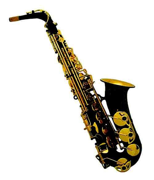 2010 PRO-GRADE ZWEISS ALTO SAXOPHONE. GORGEOUS BLACK & GOLD. ITALIAN PADS. with TRAINING CD