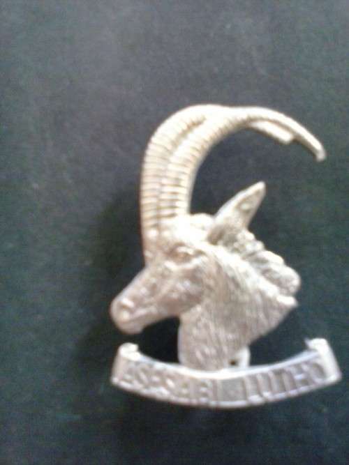 RHODESIAN ARMOURED CAR REGIMENT CAP BADGE