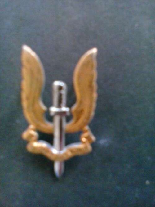 RHODESIAN SAS ANODISED CAP BADGE