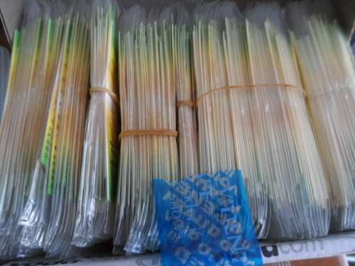 Very large lot of vintage rugby temp tatoos still sealed