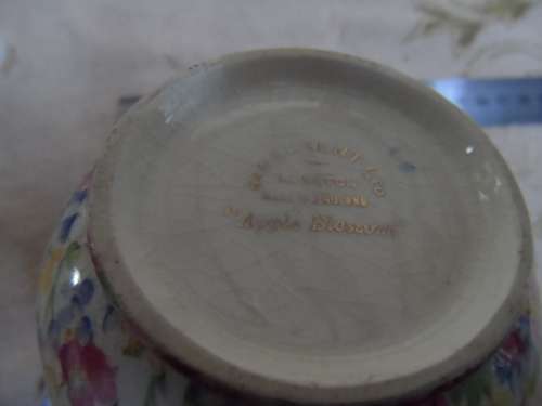 Pretty once cuppa tea pot  James Kent Ltd Longton England `Apple Blossom`
