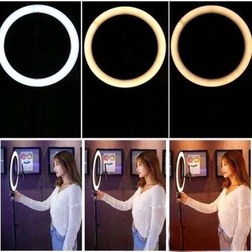 25cm Dimmable LED Ring Light Lamp with 190cm Light Stand Light Kit