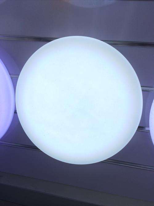 LED Acrylic Ceiling Light Round Ceiling Application Lamp 24W