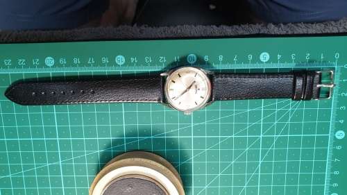 Vintage Men`s Delfin Mechanical Wrist Watch Fully Restored