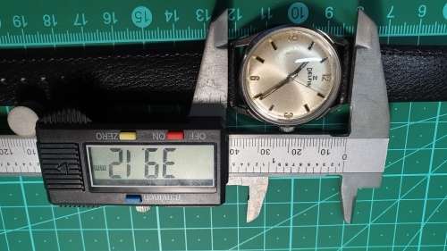 Vintage Men`s Delfin Mechanical Wrist Watch Fully Restored