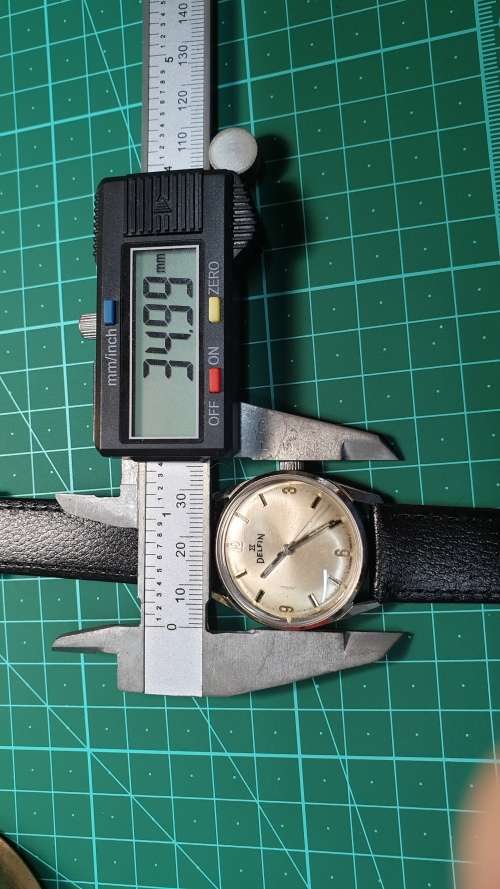 Vintage Men`s Delfin Mechanical Wrist Watch Fully Restored