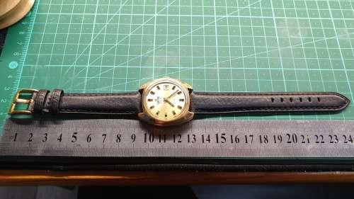 Vintage 1970`s Delfin Edox Large Men`s Automatic Date Watch