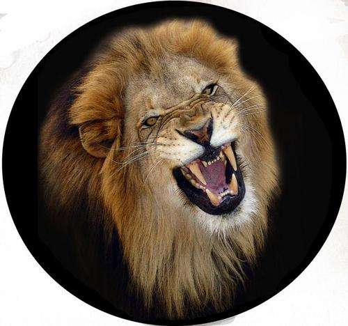 4x4 Spare Wheel Covers - Lion Prints