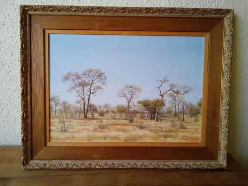 Original Johann Koch 1976 Winterveld Timbavati oil on canvas 65x50cm investment art!