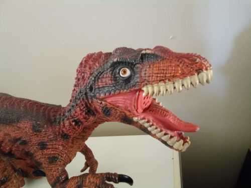 Massive 73x50x20cm Roaring Velociraptor
