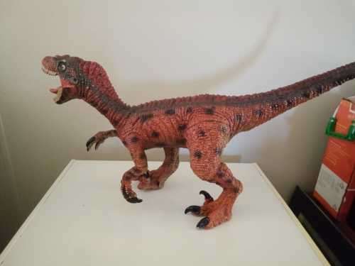 Massive 73x50x20cm Roaring Velociraptor