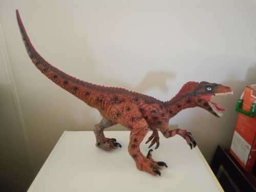Massive 73x50x20cm Roaring Velociraptor