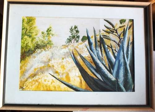 WATER COLOUR SCENE WITH ALOE - FRAMED WITH GLASS
