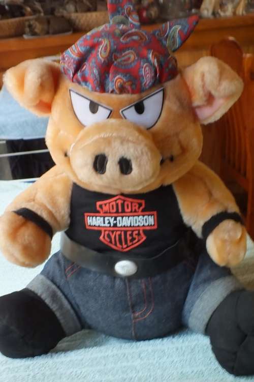 MEAN LOOKING HARLEY-DAVIDSON SOFT TOY PIG